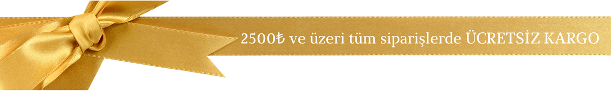 MC Kargo Website